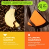image:imageEthique Beauty Mini Sampler Solid Shampoo amp Conditioner Bar Set  2 Pack  Clarifying shampoo for oily hair with castor oil plasticfree crueltyfree vegan travel sizeClarifying Solid Shampoo  Volumizing Conditioner